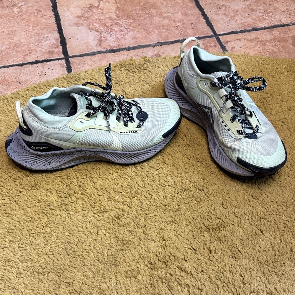 nike pegasus trail 3 gtx goretex